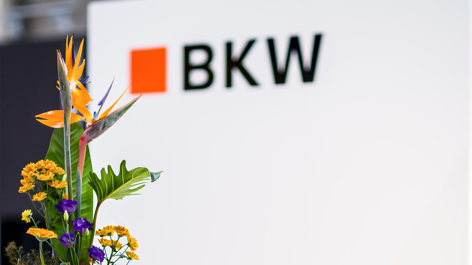 portfolio_bkw_indoor_7